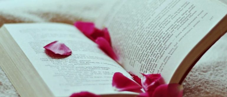 Новинки и бестселлеры: самые интересные книги последних лет